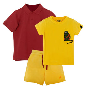 Organic Cotton Mix 'n' Match set of 3 | T-shirt & Shorts — organic cotton kids co-ord set India 2-6 years — Kiggle