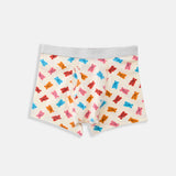 Boxer brief Pack of 5