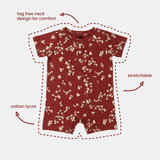 Spring Shorty Pack of 3 - Organic Cotton Baby Rompers (3 - 24 Months) - organic cotton kids clothing - Kiggle