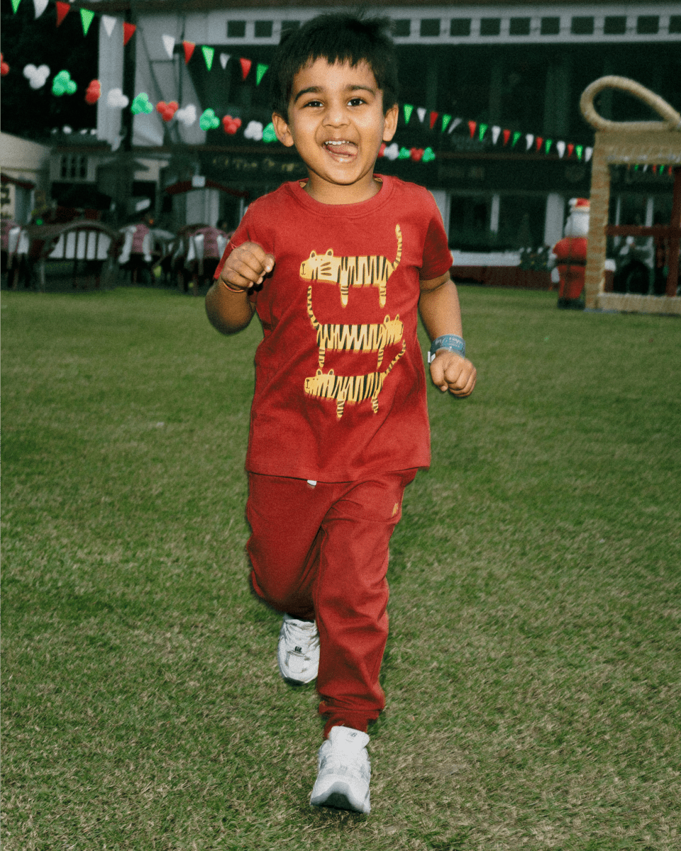 Tiger Tiger Tiger Tee Clay - organic cotton kids clothing - Kiggle